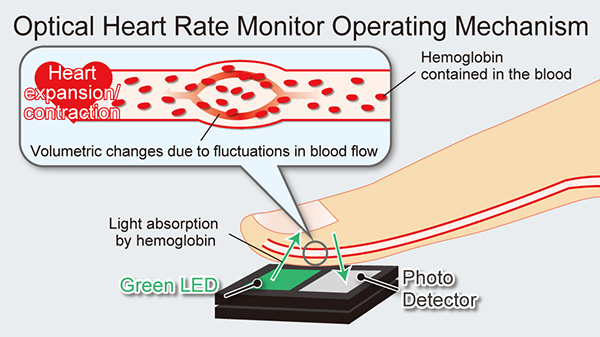 Optical Heart Rate Monitor Operating Mechanism