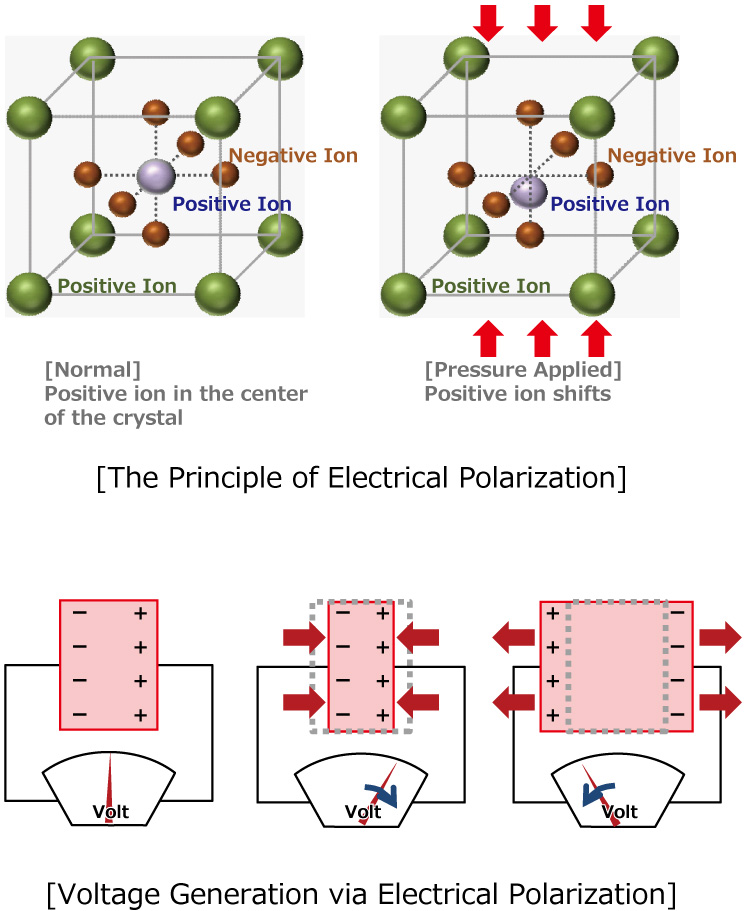 [The Principle of Electrical Polarization] / [Voltage Generation via Electrical Polarization]