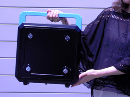 Portable generators