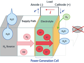 Construction of Hydrogen Fuel Cell