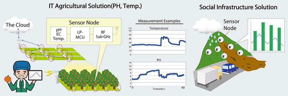 IT Agricultural Solution(PH, Temp.)