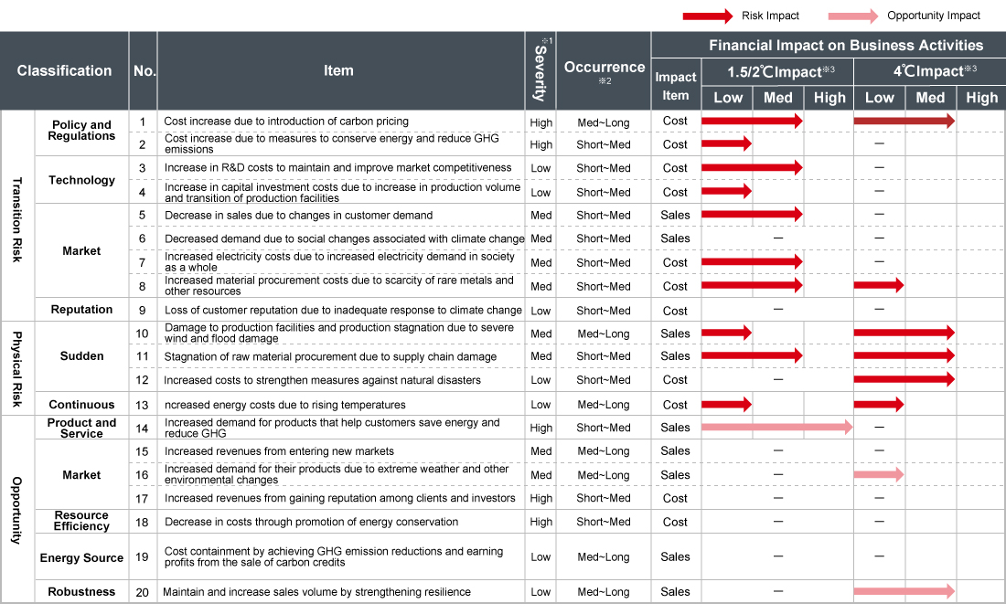Financial Impact by Risk and Opportunity