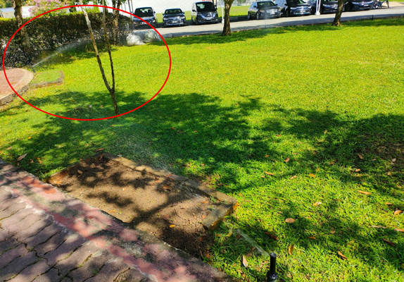 Wastewater Recovery Facilities