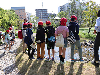 Explanation about Flora and Fauna by Expert Guides
