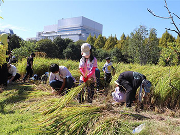 Organizing Farm Work Experience Events