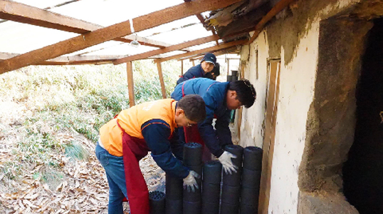 Activity to Support Coal Briquettes Delivery