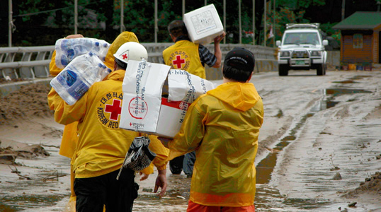 Humanitarian assistance to the Korean Red Cross Society