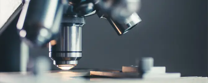 R&D Activities