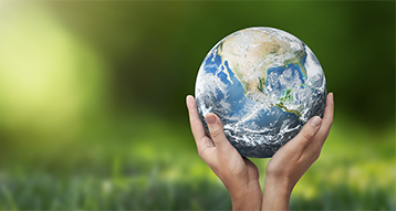 Sustainability
