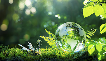 Environmental Management