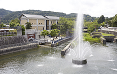 Fountain Irrigation