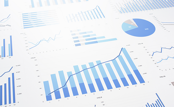 Corporate Overview