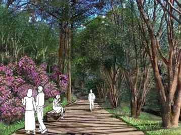 Forest Area