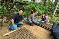 Planting 500 Saplings in a Nature Reserve