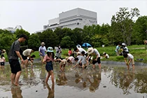 Events in the Biotope Area