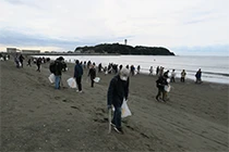 cleanup activities