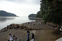 Coastal Cleanup Activities