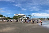 Coastal Cleanup Activities