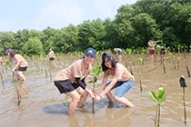 Mangrove Forestation Activity