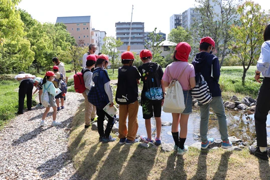 Events in the Biotope Area
