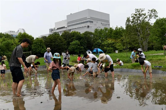 Events in the Biotope Area