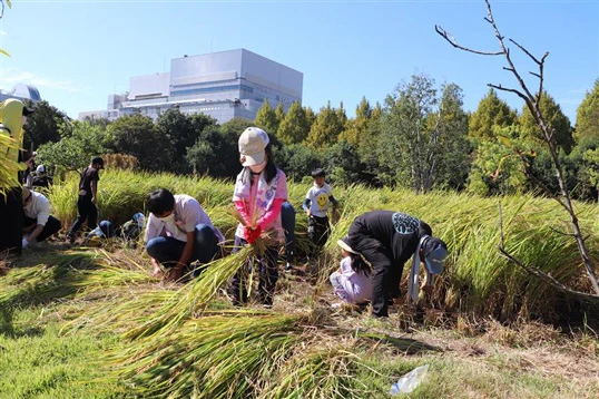 Events in the Biotope Area