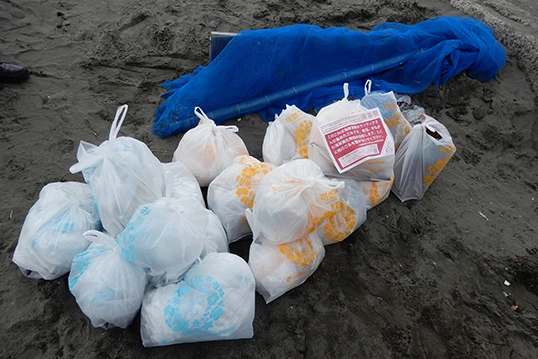 Cleanup Activities