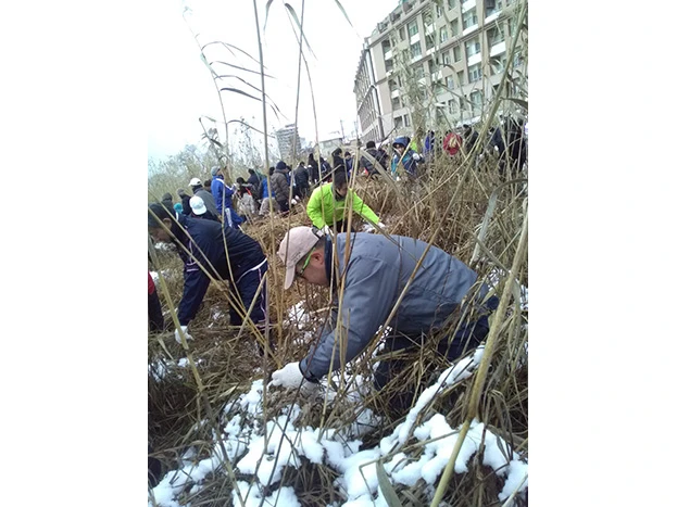 Participating in “Mowing Yoshi-Plants” Activities by the Citizens