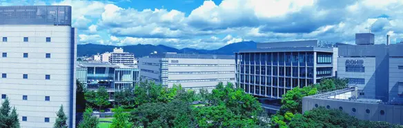 Corporate Information