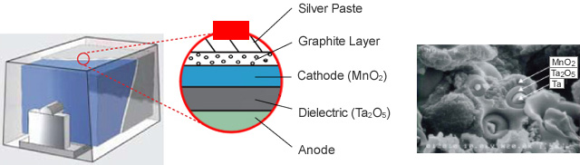 Tantalum Capacitor