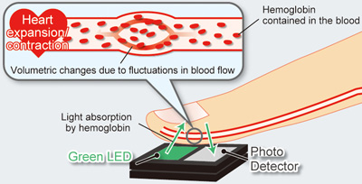 Pulse Sensor