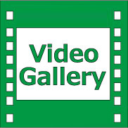 Video Gallery