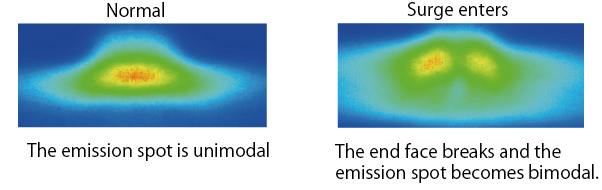 [EL Observation Results After ESD]
