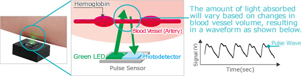 Reflection-Type Pulse Sensor (Optical Sensor for Heart Rate Monitor) - Operating Mechanism