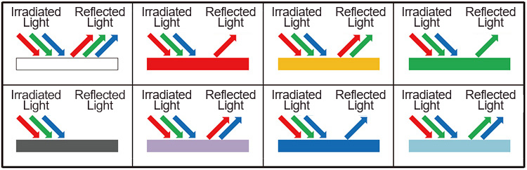 Reflected Light for Different Object Colors