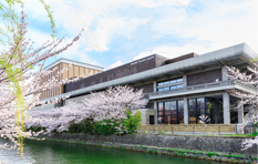 ROHM Theatre Kyoto - Cherry Blossoms
