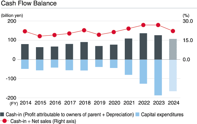 Cash Flow Balance