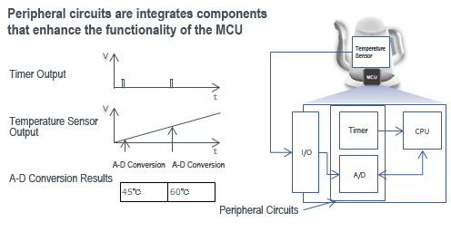 Peripheral circuits are integrates components that enhance the functionality of the MCU