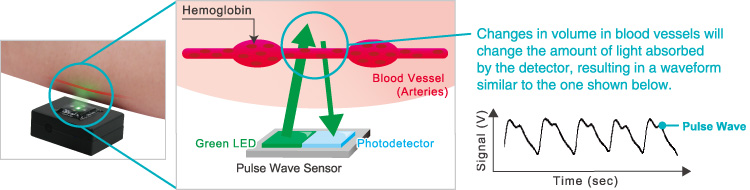 Pulse wave sensor principle